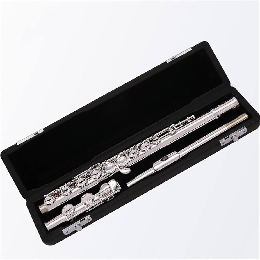 Amazon.com - Flute Musical Instrument New Silver Plated